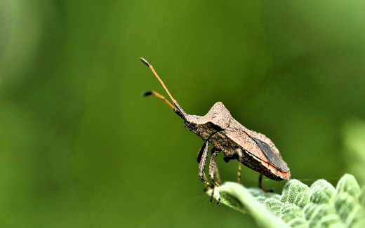 1755825 (a): :1920x1200